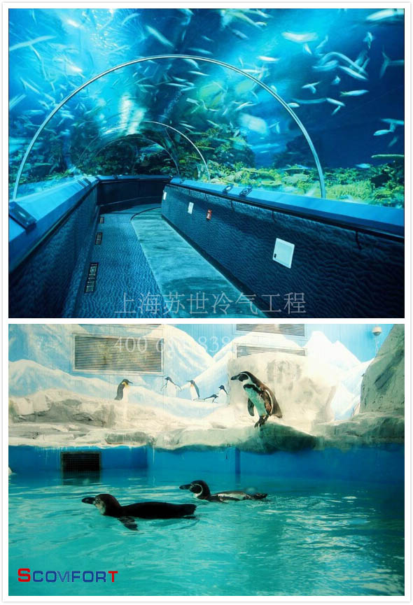 水族館保溫庫(kù) 恒溫庫(kù) 021-66105069 嚴(yán)格把控溫度